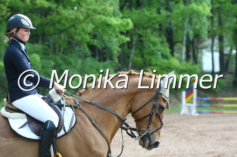 104M6173_Rubber Duck_Stil_A.JPG